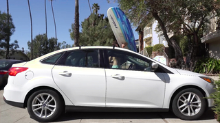 Surfing as a Beginner: The Fun and Frustrations of Catching Waves for the First Time