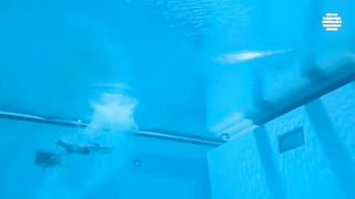 Doha 2024 World Aquatics Championships | Day 1 Highlights | Aquatic Excellence