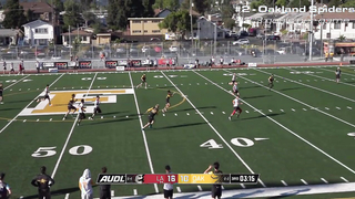 Top 5 High-Scoring Teams in the 2023 UFA Season | Ultimate Frisbee Highlights