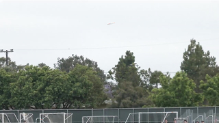 WHAT a grab! The 10 toughest catches from the 2023 season |