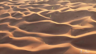 Highlights of the 2024 edition presented by Aramco - #Dakar2024