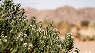 The most beautiful landscapes of Dakar 2024 - #Dakar2024