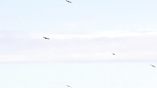 The most beautiful landscapes of Dakar 2024 - #Dakar2024