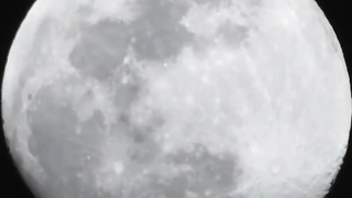 First week highlights - #Dakar2023