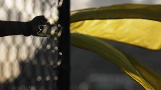 IMSA Sights & Sounds | 2024 Rolex 24 At Daytona | Experience The Race Like You Were There