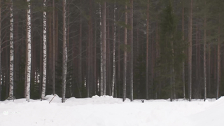 What's It Like To Drive on Snow & Ice? | WRC Rally Sweden 2024