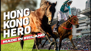 Hong Kong Hero: Made In Ireland