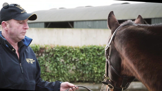 Hong Kong Hero: Made In Ireland