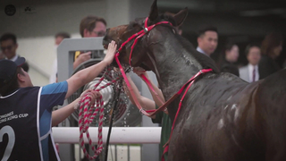 Hong Kong Hero: Made In Ireland