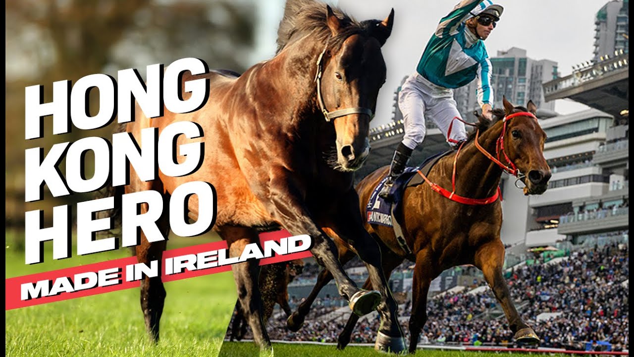 Hong Kong Hero: Made In Ireland