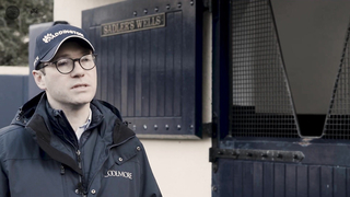 The Irish Stallion Trail: Inside Ireland's Coolmore Stud