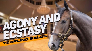 Big Sale or Big FAIL? Sales Ring Drama!