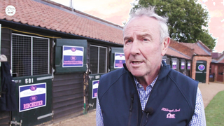 Big Sale or Big FAIL? Sales Ring Drama!