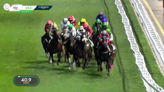 All Races: #SaudiCup 2024, Including Senor Buscador's Thrilling Cup Win!