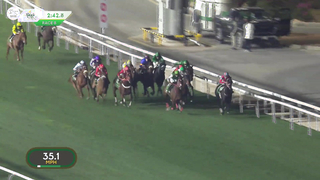 All Races: #SaudiCup 2024, Including Senor Buscador's Thrilling Cup Win!