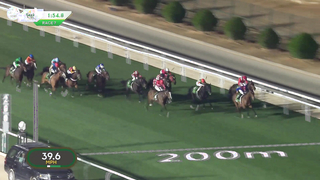 All Races: #SaudiCup 2024, Including Senor Buscador's Thrilling Cup Win!