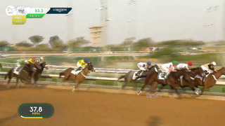 All Races: The 2024 #SaudiCup International Jockeys Challenge In Riyadh