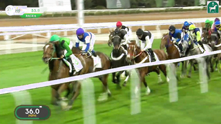 All Races: The 2024 #SaudiCup International Jockeys Challenge In Riyadh
