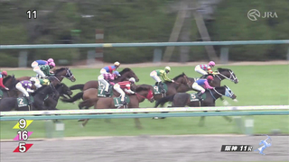 2024 Hanshin Cup (G3) Winner: Win Marvel | JRA Official Video