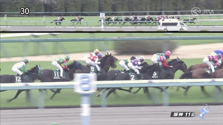 2024 Hanshin Cup (G3) Winner: Win Marvel | JRA Official Video