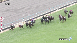 2024 Hanshin Cup (G3) Winner: Win Marvel | JRA Official Video