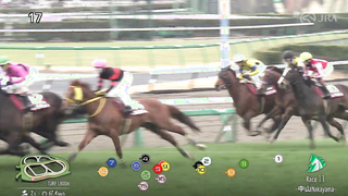 2024 Nakayama Kinen (G2) Winner: Matenrou Sky | JRA Official