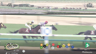 2024 Nakayama Kinen (G2) Winner: Matenrou Sky | JRA Official