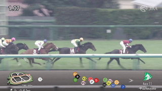 2024 Nakayama Kinen (G2) Winner: Matenrou Sky | JRA Official