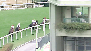 Medal winners! Hong Kong Gold Cup stars!