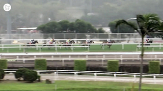 Medal winners! Hong Kong Gold Cup stars!