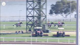 Medal winners! Hong Kong Gold Cup stars!