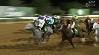 2024 Saudi Cup (G1) Winner: Senor Bascador | JRA Official