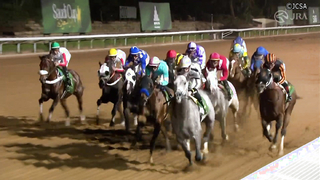 2024 Saudi Cup (G1) Winner: Senor Bascador | JRA Official