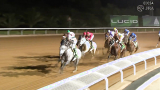 2024 Saudi Cup (G1) Winner: Senor Bascador | JRA Official