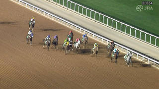 2024 Saudi Cup (G1) Winner: Senor Bascador | JRA Official