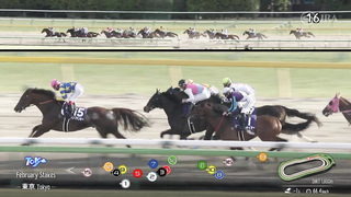 2024 February Stakes (G1) Winner: Peptide Nile | JRA Official