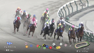 2024 February Stakes (G1) Winner: Peptide Nile | JRA Official