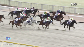 2024 February Stakes (G1) Winner: Peptide Nile | JRA Official