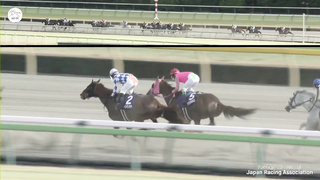 Japan's First G1 of 2024, the February Stakes, goes to Peptide Nile!