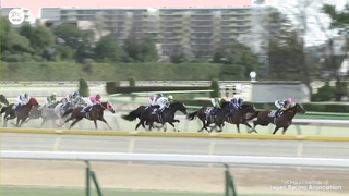 Japan's First G1 of 2024, the February Stakes, goes to Peptide Nile!