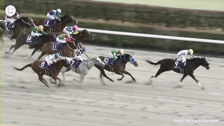 Japan's First G1 of 2024, the February Stakes, goes to Peptide Nile!