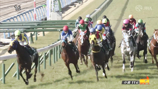 2024 Kokura Daishoten (G3) Winner: Epiphany | JRA Official