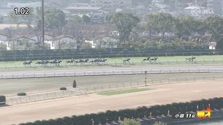 2024 Kokura Daishoten (G3) Winner: Epiphany | JRA Official