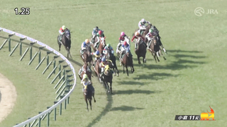 2024 Kokura Daishoten (G3) Winner: Epiphany | JRA Official