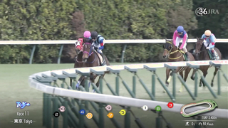 2024 Diamond Stakes (G3) | Teio Royal | JRA Official