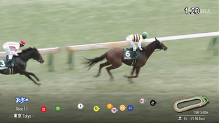 2024 Diamond Stakes (G3) | Teio Royal | JRA Official