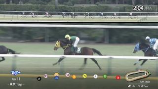 2024 Diamond Stakes (G3) | Teio Royal | JRA Official