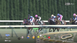2024 Diamond Stakes (G3) | Teio Royal | JRA Official