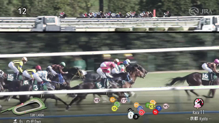 2024 Diamond Stakes (G3) | T O Royal | JRA Official
