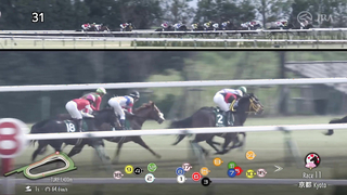 2024 Diamond Stakes (G3) | T O Royal | JRA Official